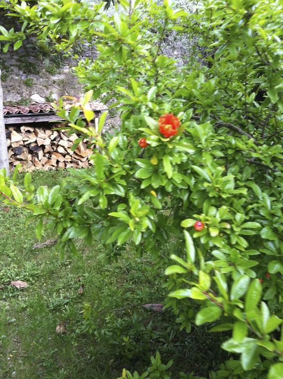 3 Rooms Apartment Whit Balcony And Lake Wiew Malcesine Exterior photo